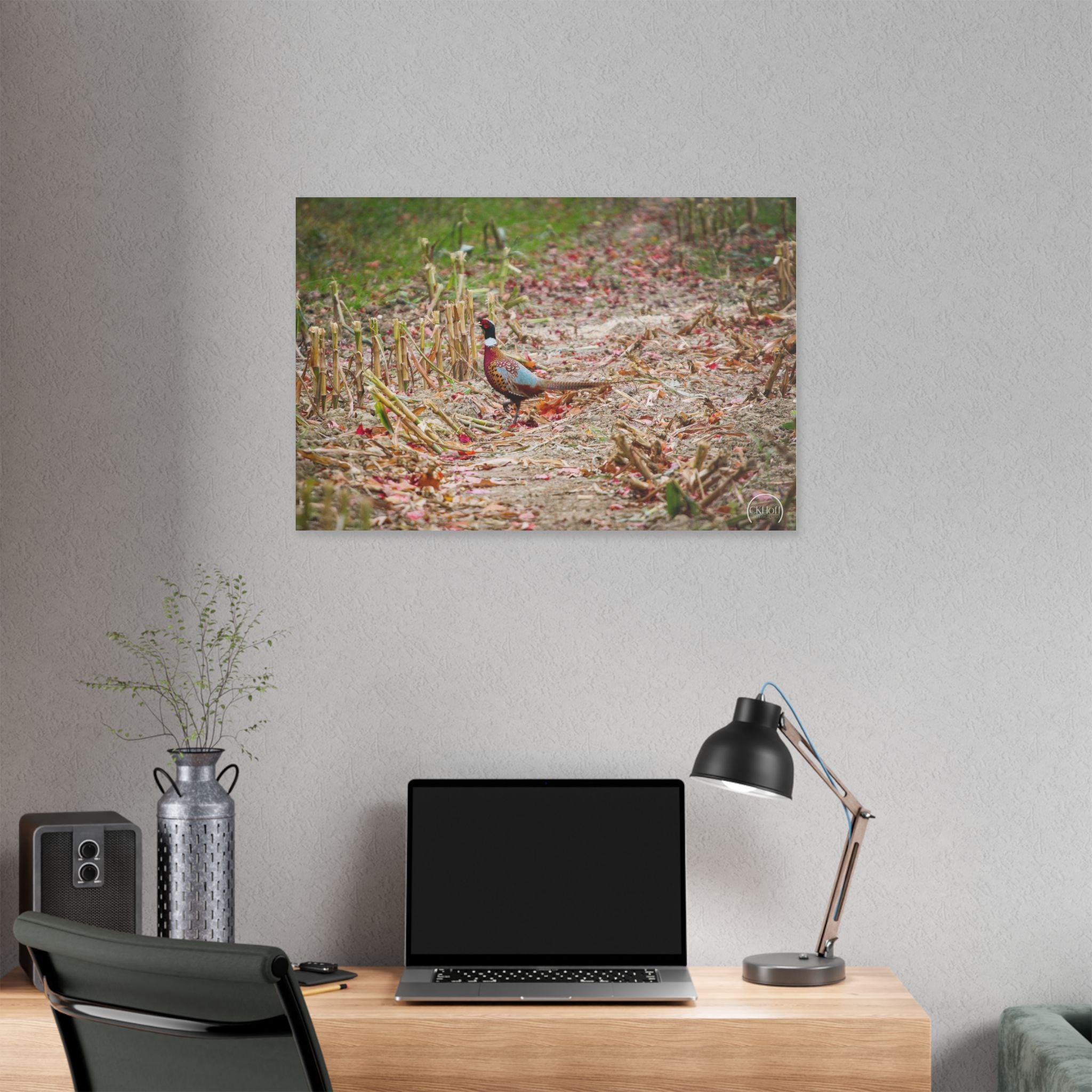 Pheasant in Fall Field Canvas Wall Art — Rustic Wildlife Photography Stretched Canvas