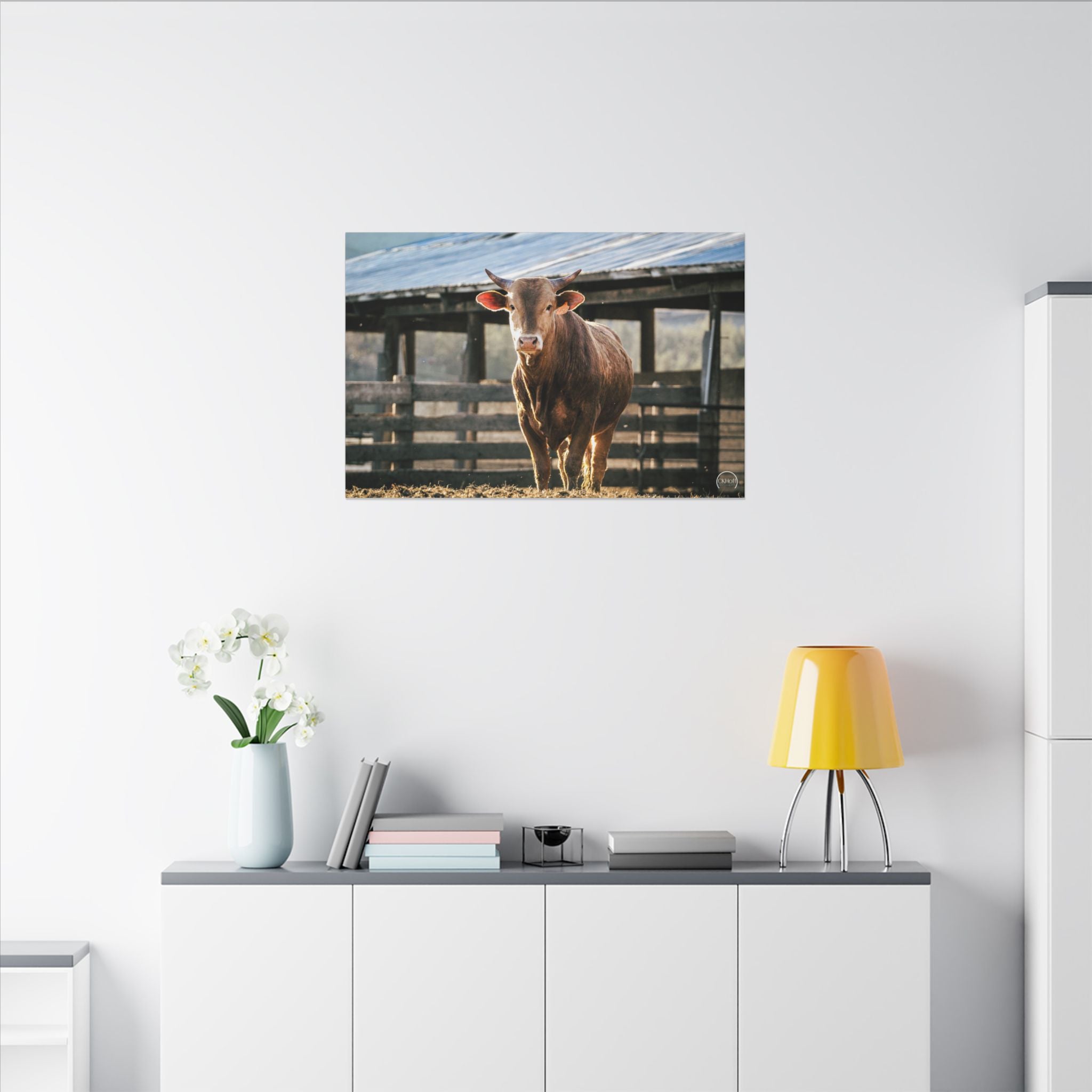 Farmhouse Bull Photo Canvas Print — Rustic Barnyard Wall Art
