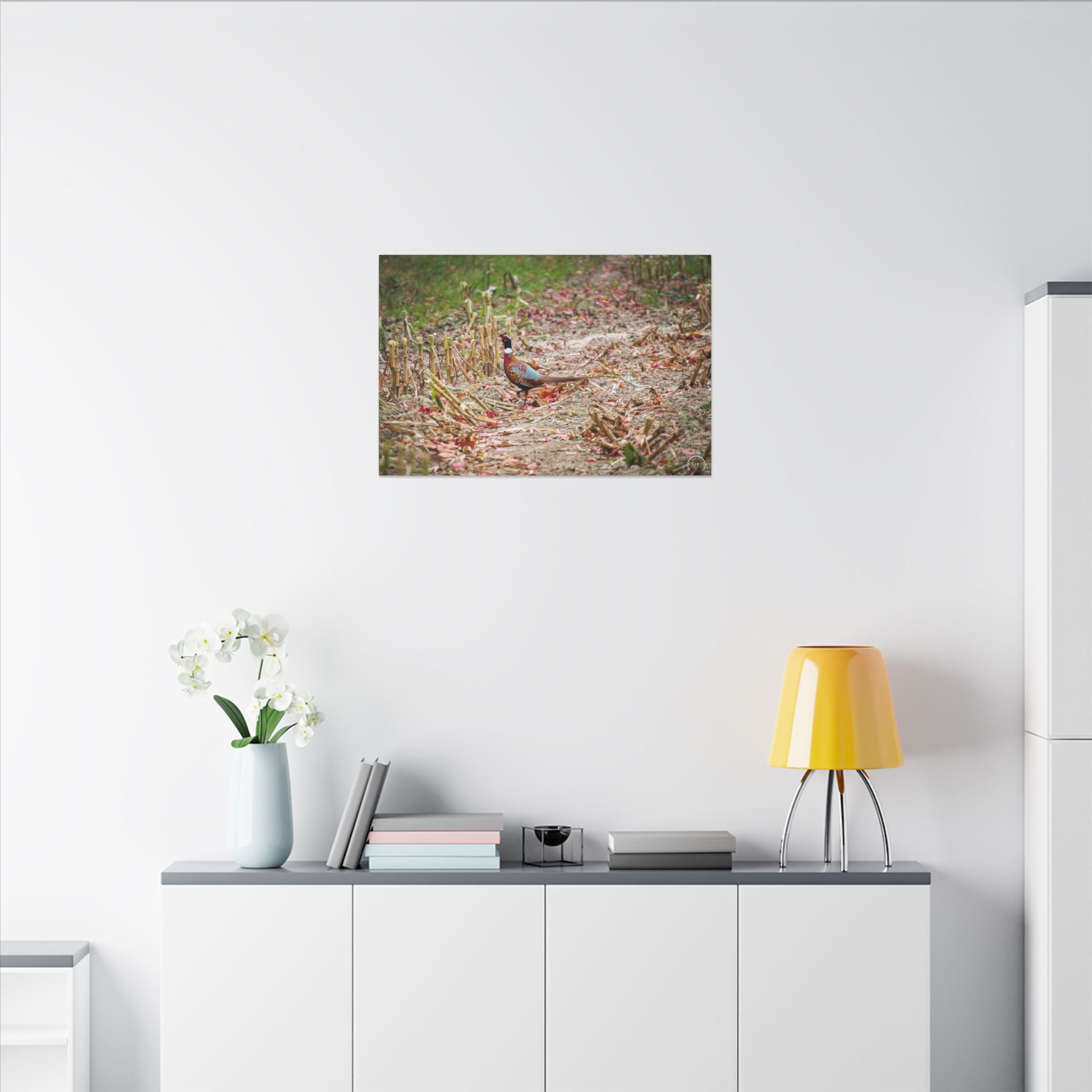 Pheasant Wildlife Matte Canvas Print — Stretched Nature Wall Art