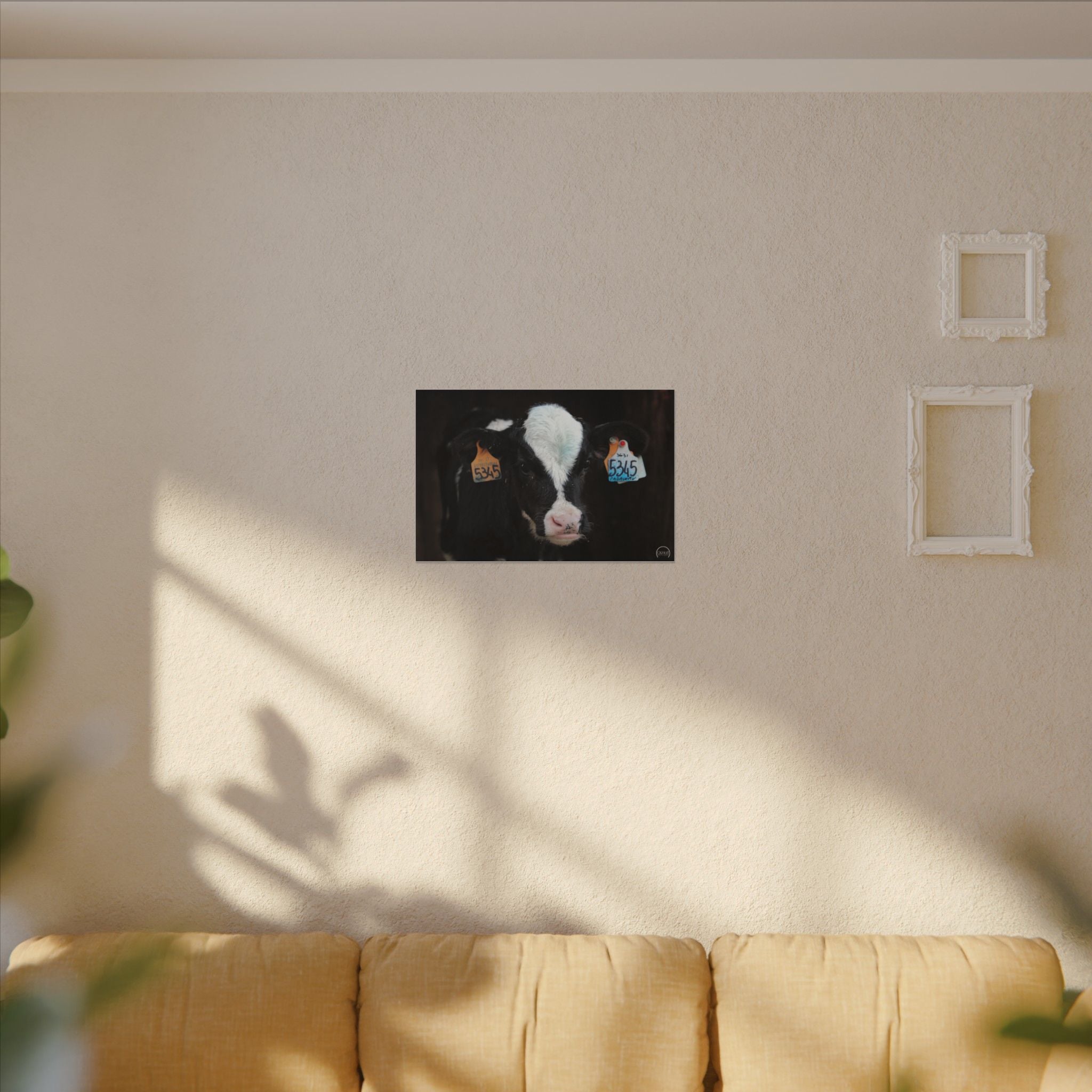 Calf Portrait Matte Canvas Wall Art — Black & White Cow Farm Photography