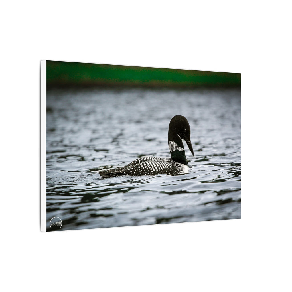Common Loon Canvas Wall Art — Matte Stretched Wildlife Photography