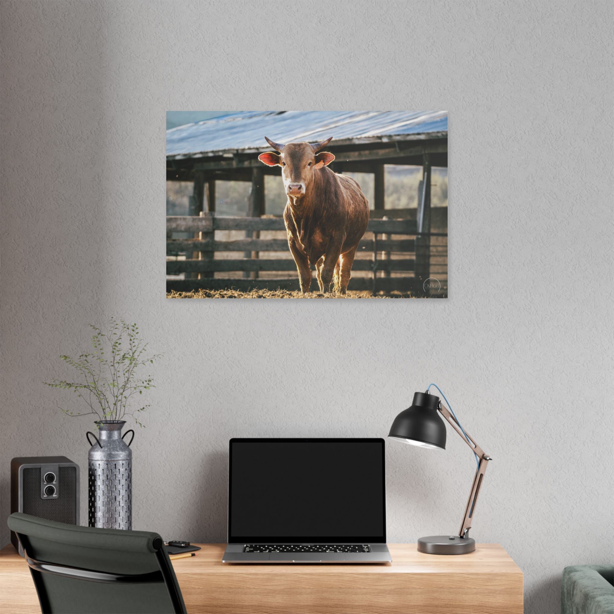 Rustic Farmhouse Bull Photo Canvas – Stretched Wall Art