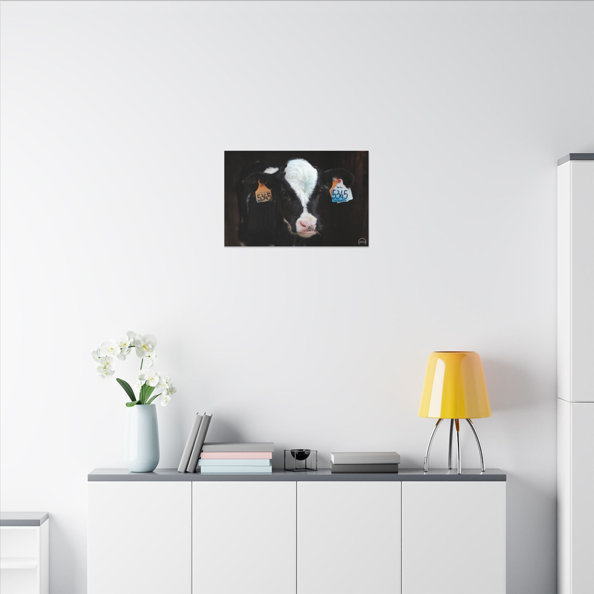 Calf Portrait Matte Canvas Wall Art — Black & White Cow Farm Photography