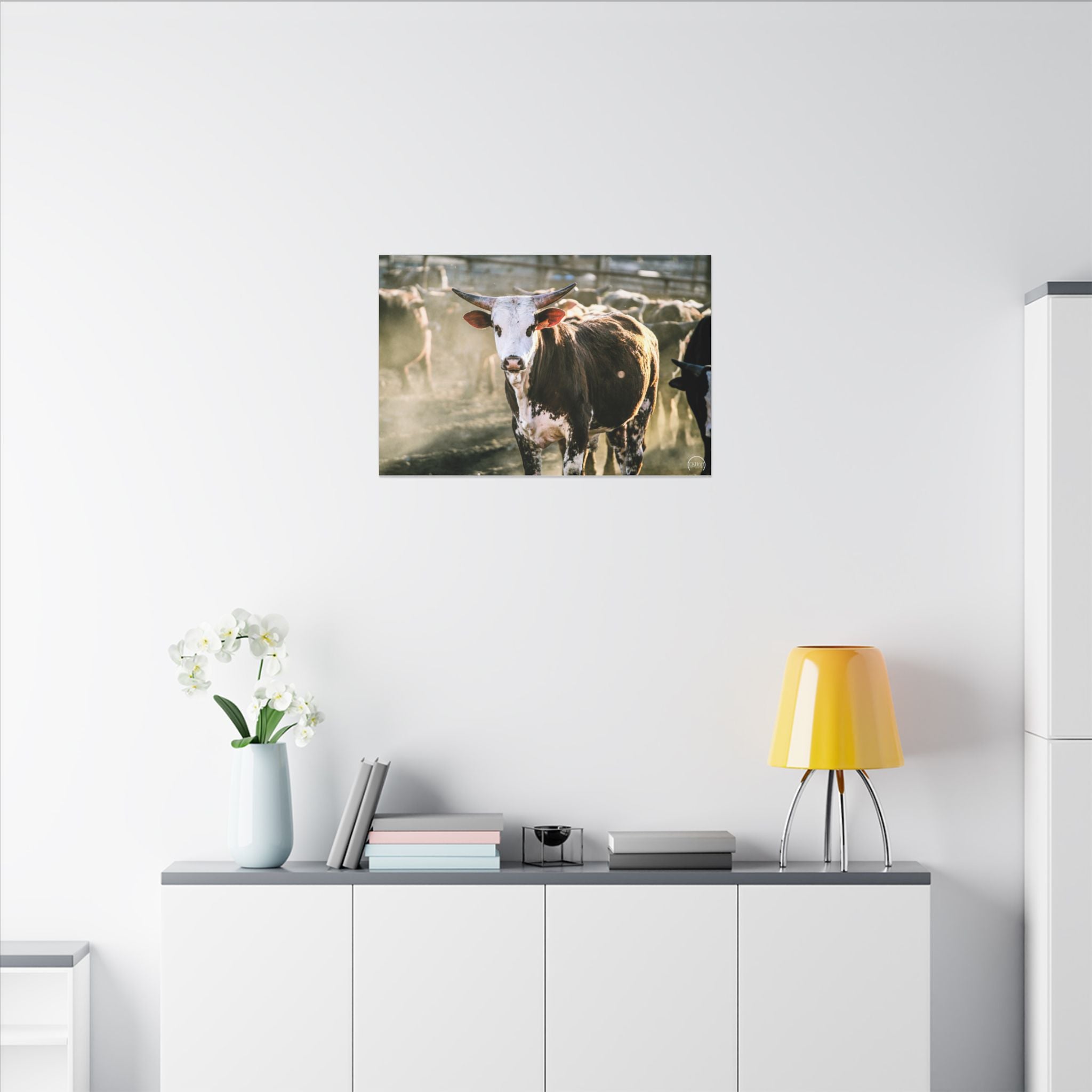 Bucking Bull Matte Canvas Print — Rustic Farmhouse Wall Art