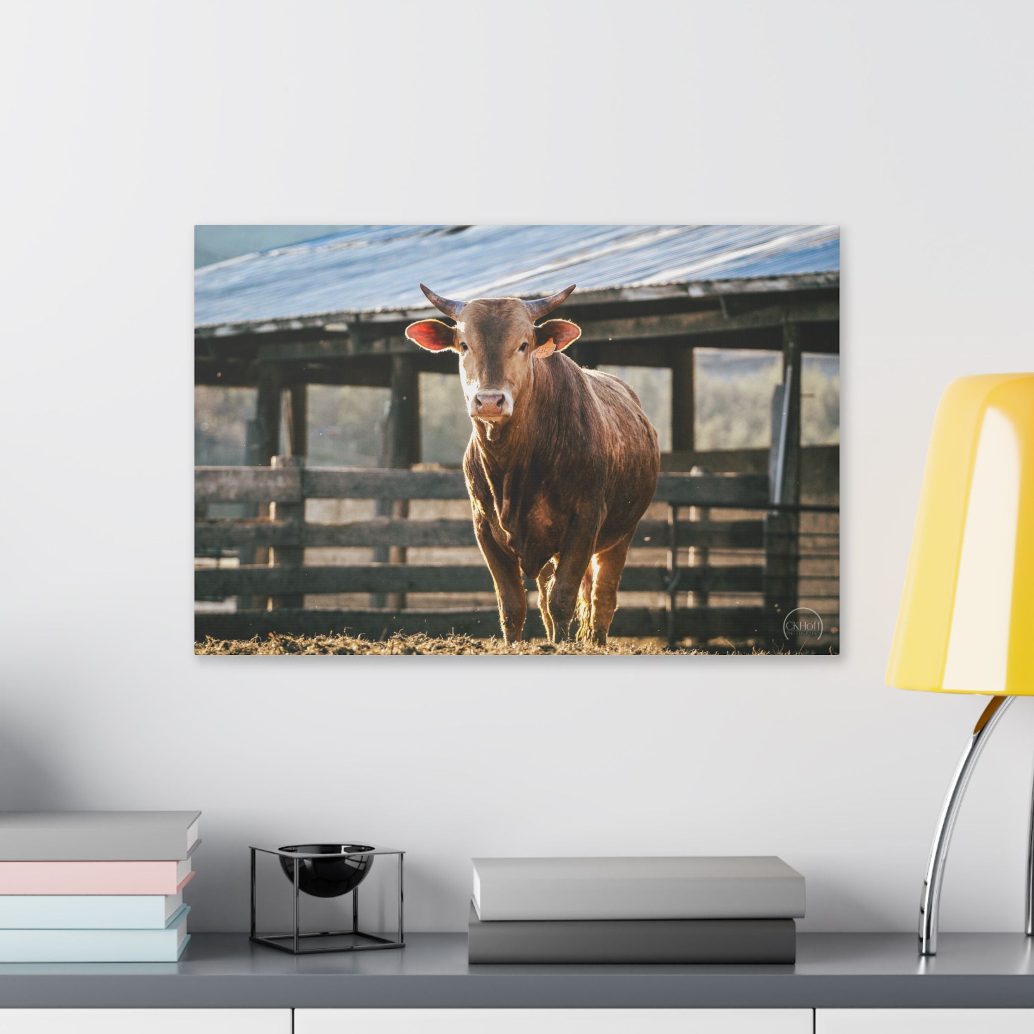 Rustic Farmhouse Bull Photo Canvas – Stretched Wall Art
