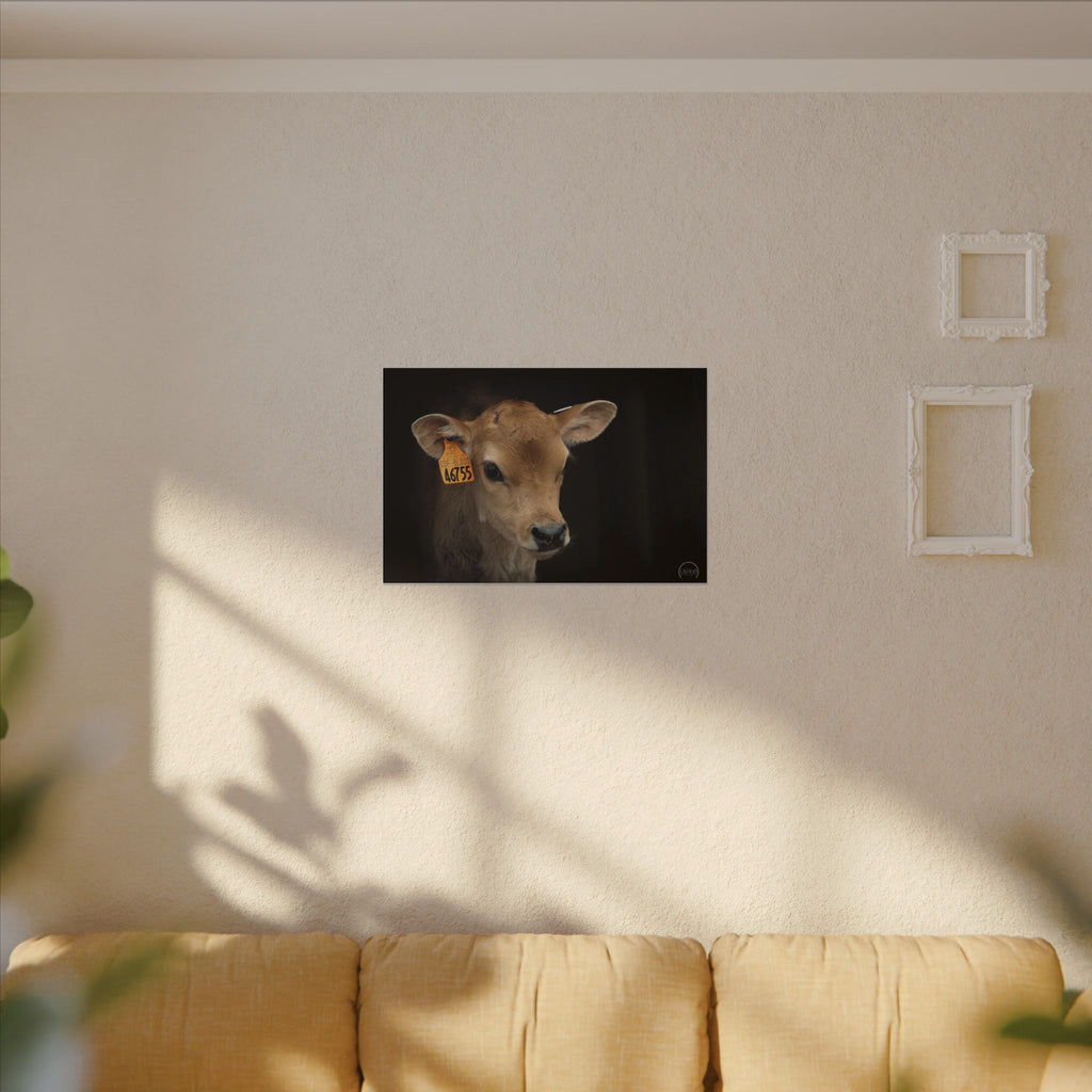 Jersey Calf Portrait Canvas Print — Rustic Farm Animal Wall Art
