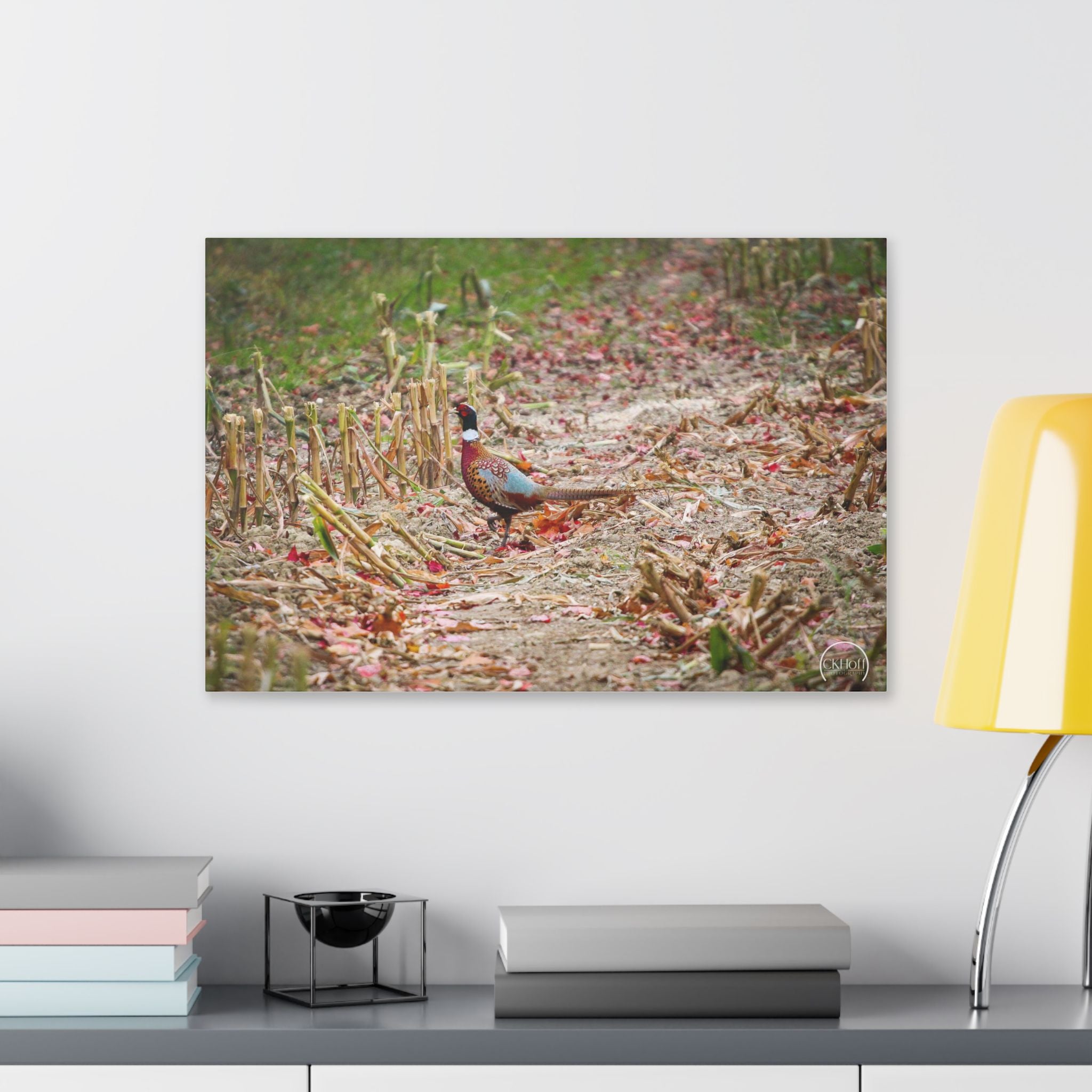 Pheasant in Fall Field Canvas Wall Art — Rustic Wildlife Photography Stretched Canvas