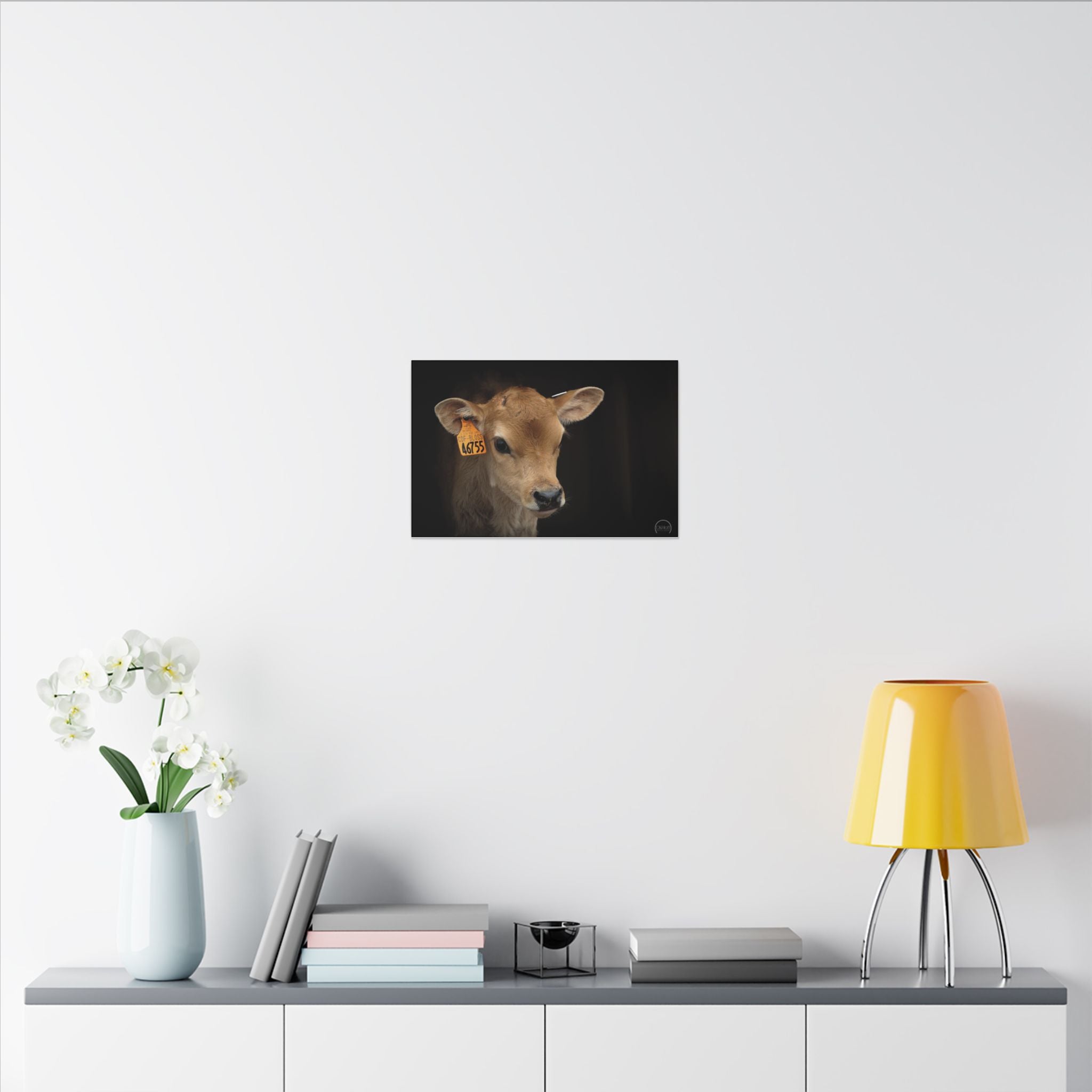 Jersey Calf Portrait Canvas Print — Rustic Farm Animal Wall Art