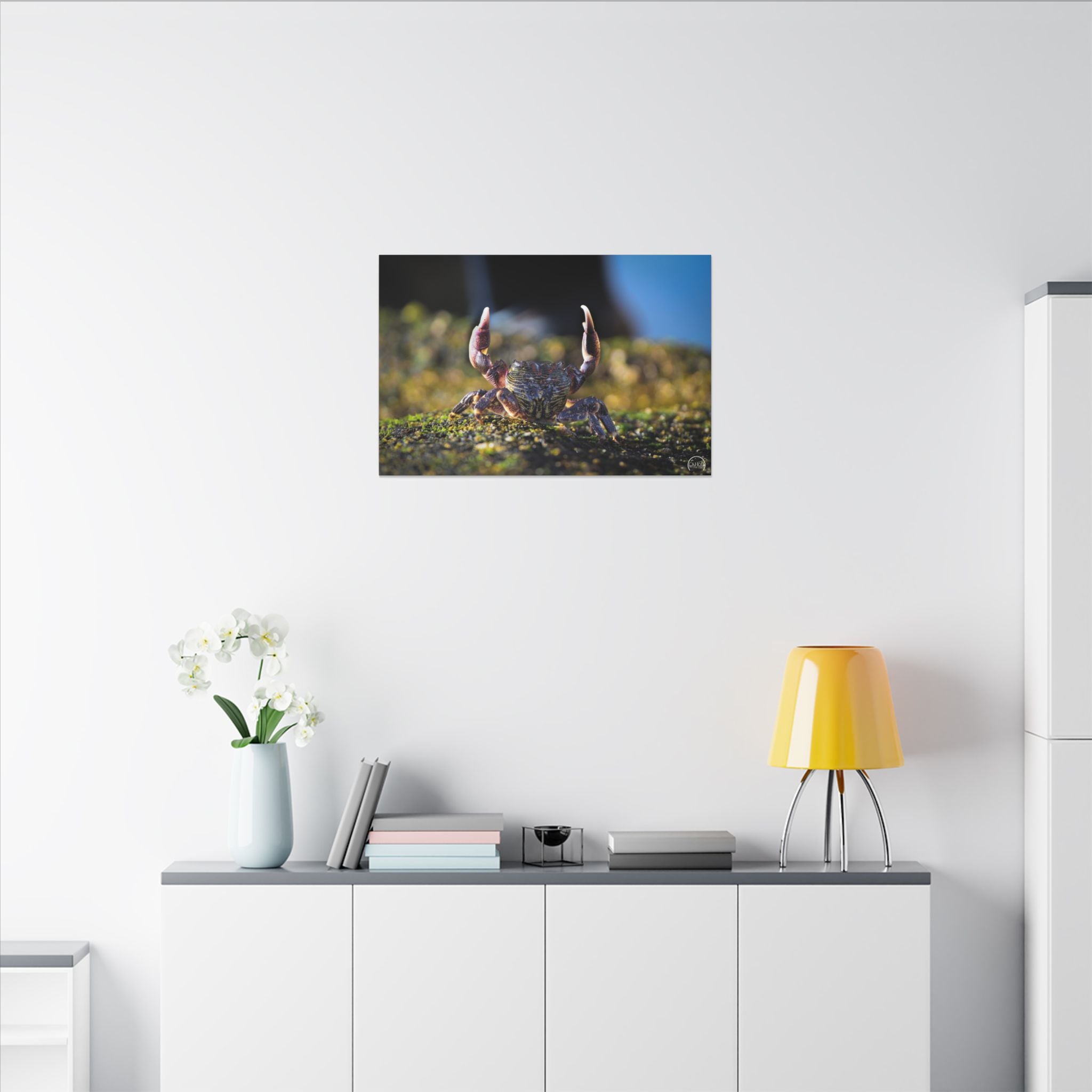Crab Close-Up Matte Canvas Print — Coastal Wildlife Wall Art