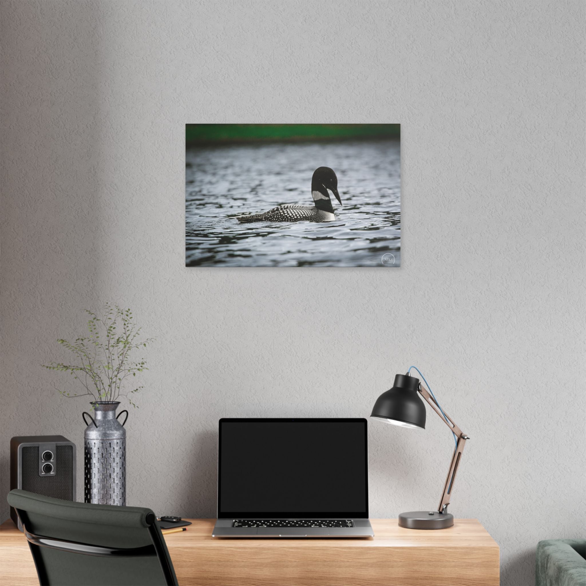 Loon on Lake — Classic Stretched Canvas Wall Art