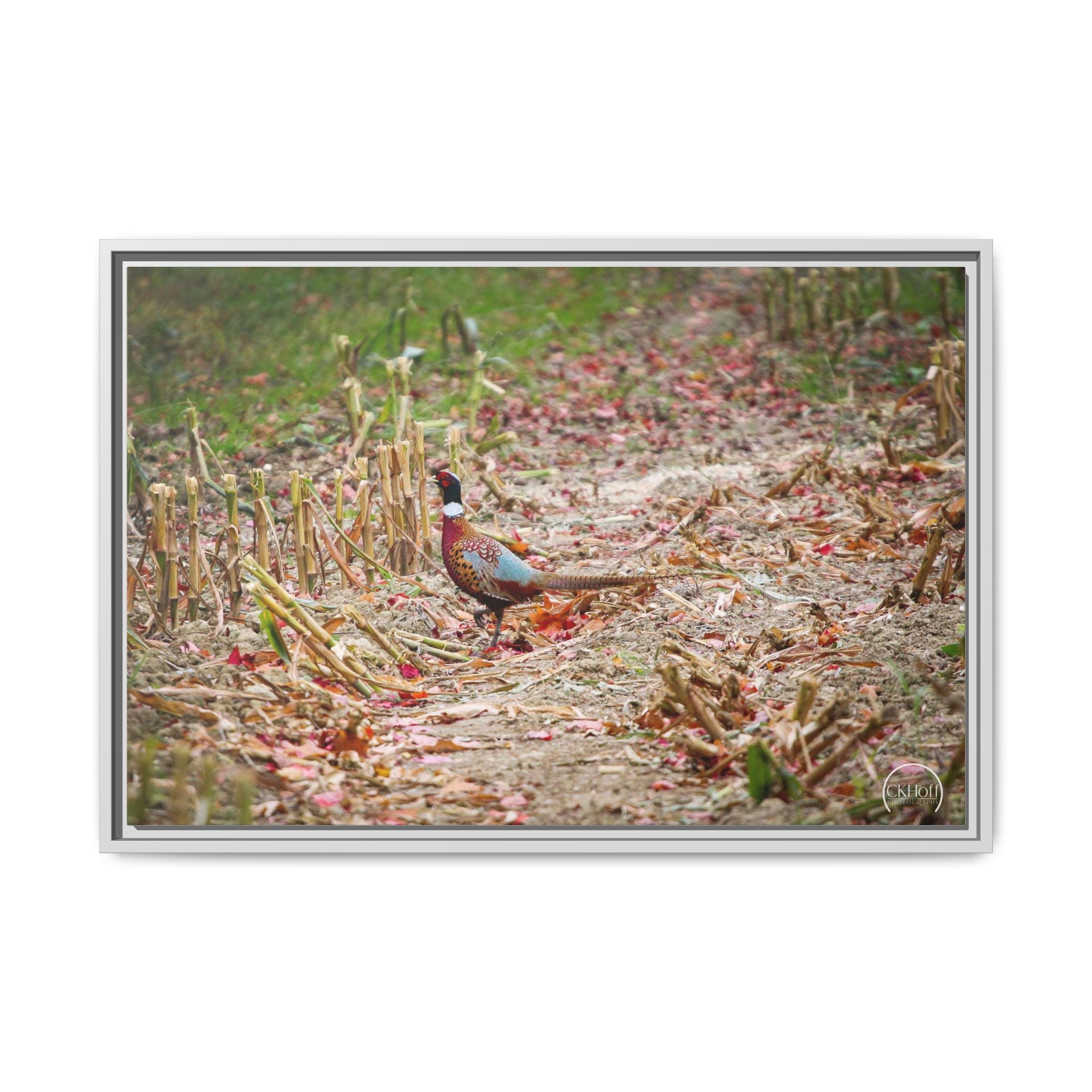 Framed Matte Canvas Pheasant Wildlife Print — Rustic Farmhouse Wall Art