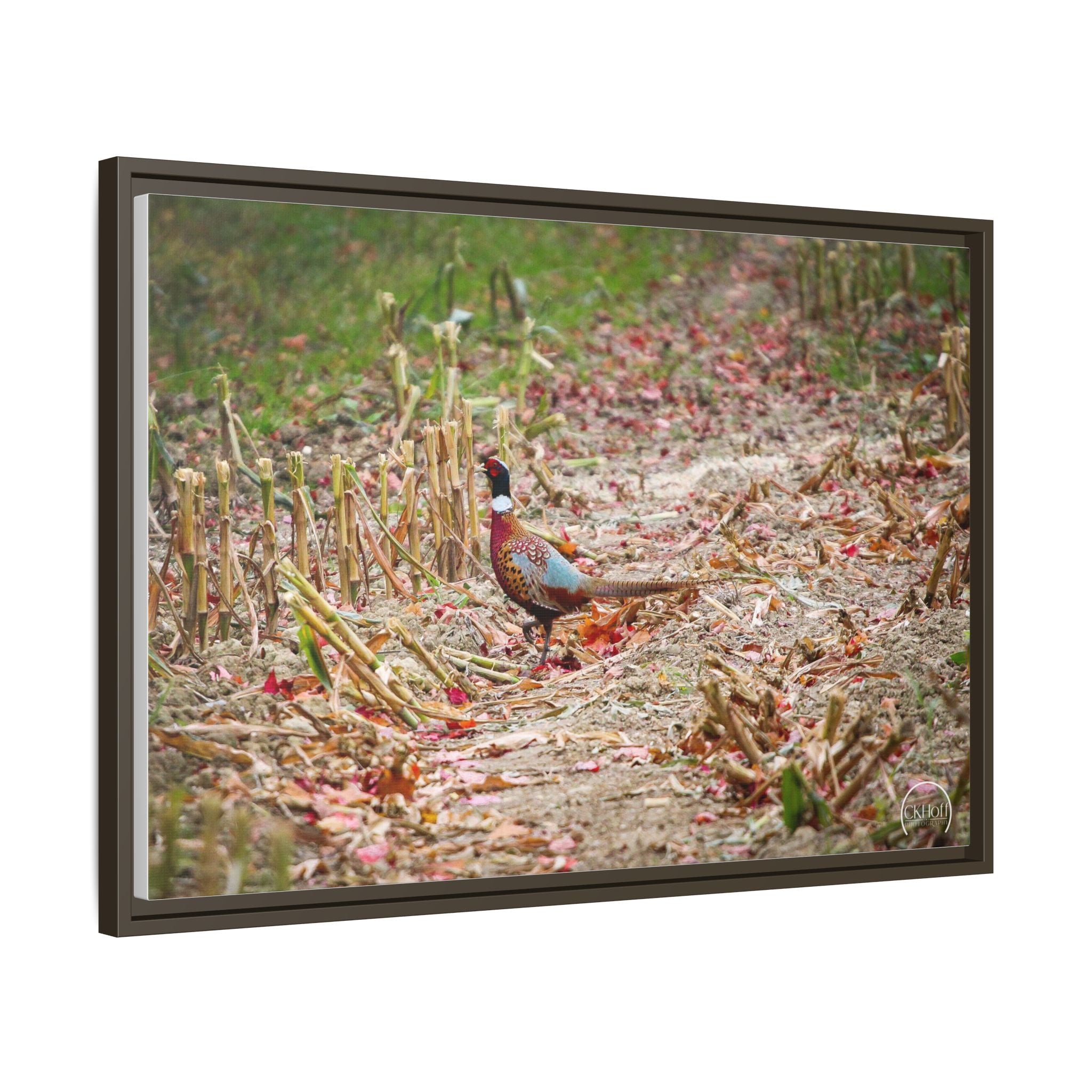 Framed Matte Canvas Pheasant Wildlife Print — Rustic Farmhouse Wall Art