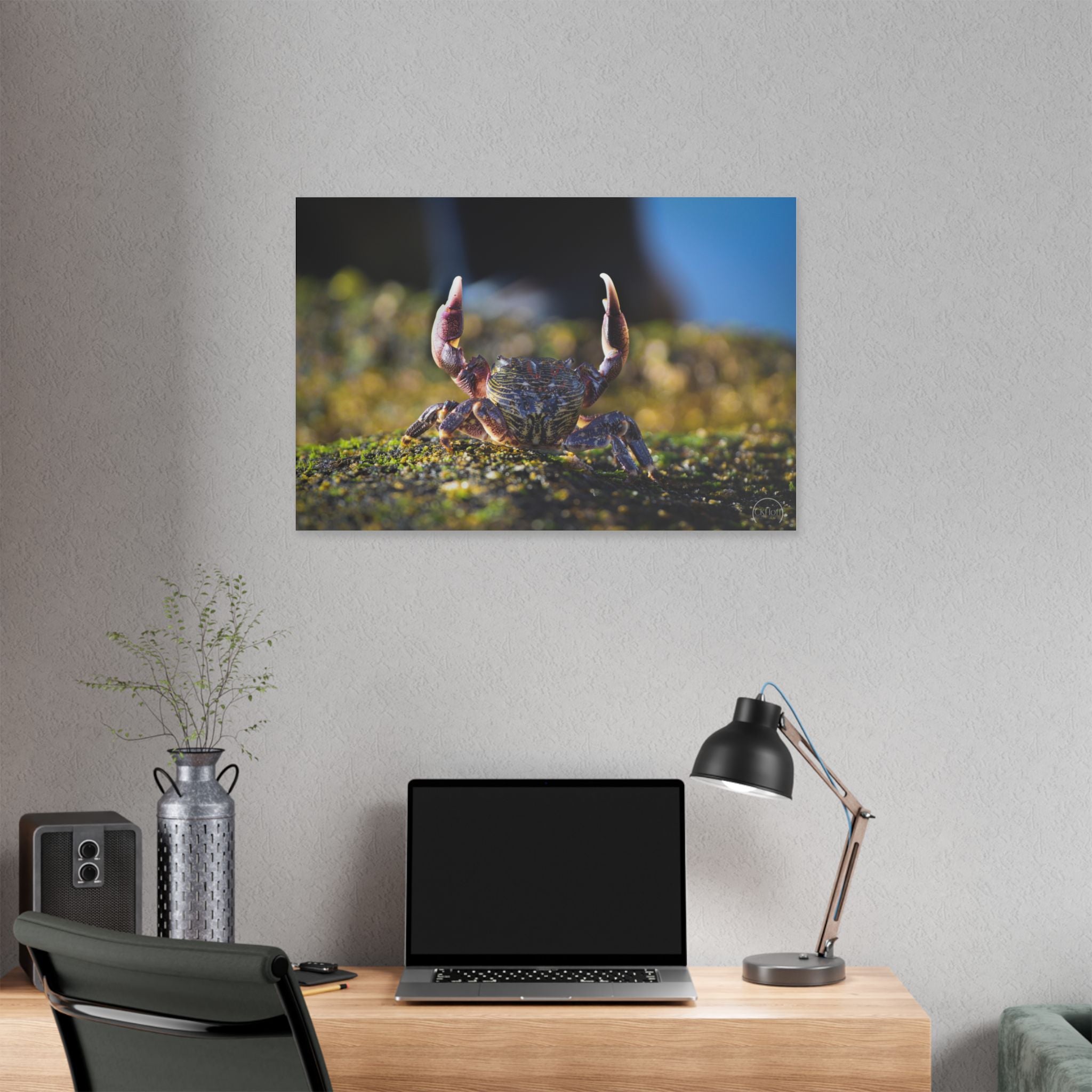 Crab on Moss Canvas Print — Coastal Nature Photography Wall Art