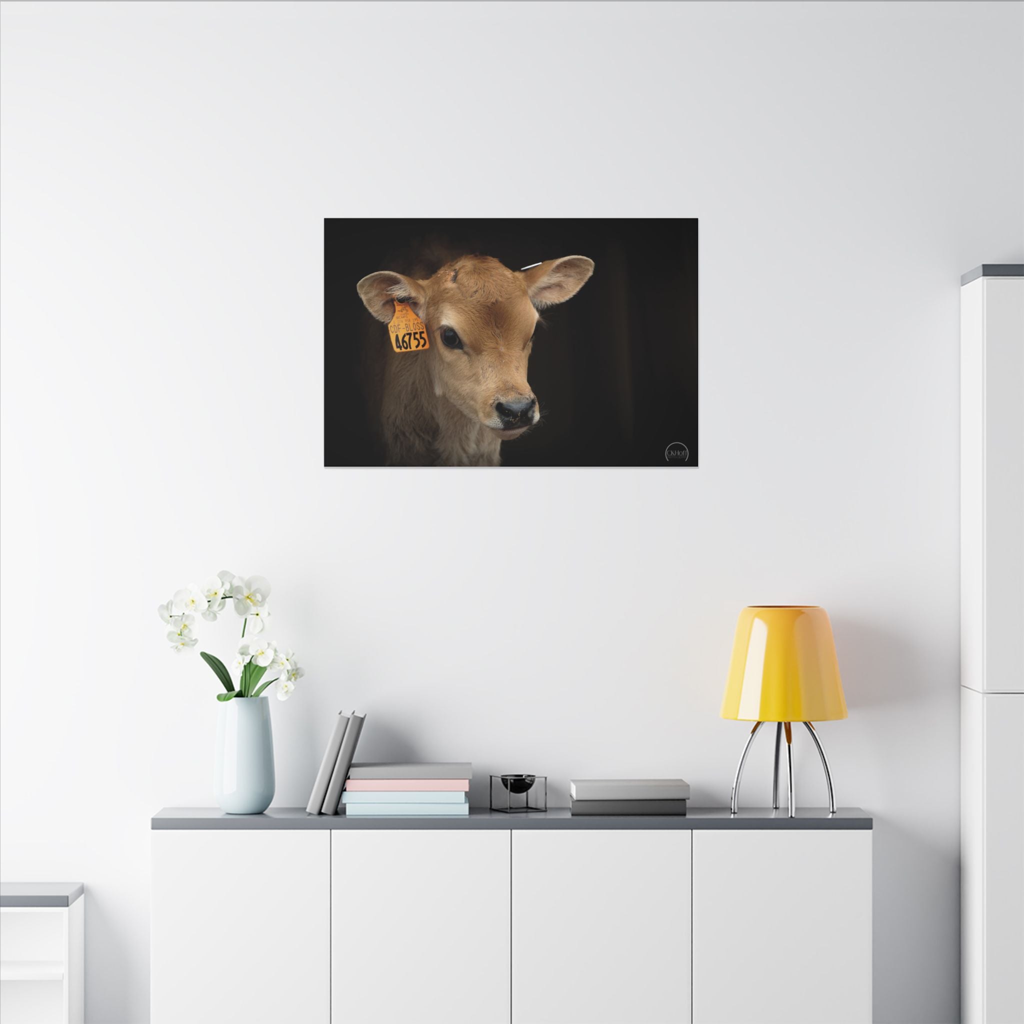 Jersey Calf Portrait Canvas Print — Rustic Farm Animal Wall Art