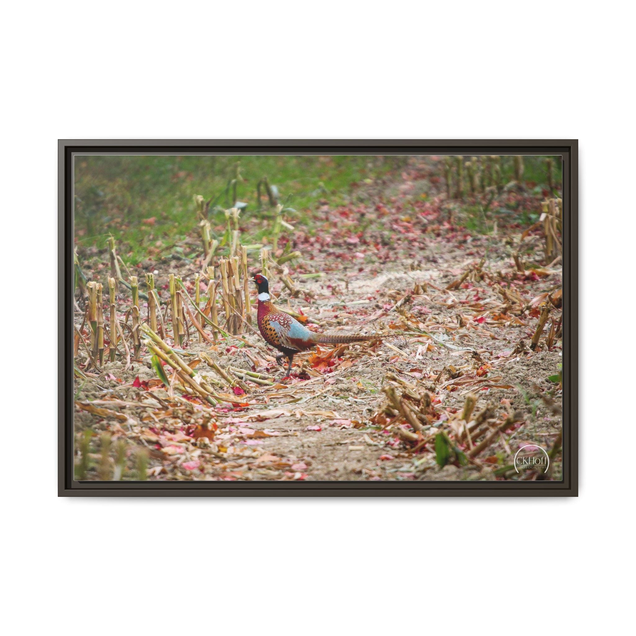 Framed Matte Canvas Pheasant Wildlife Print — Rustic Farmhouse Wall Art