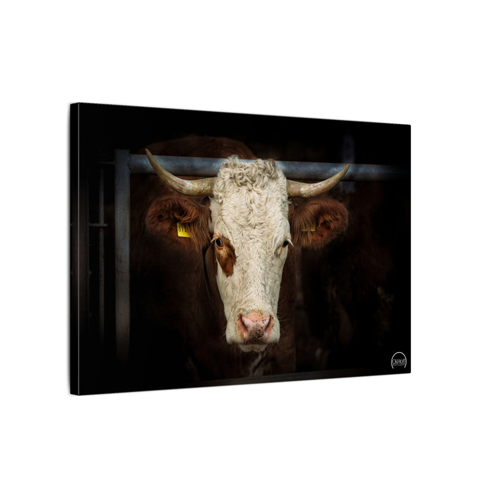 Rustic Hereford Portrait Canvas Wall Art — Matte Stretched Cow Print