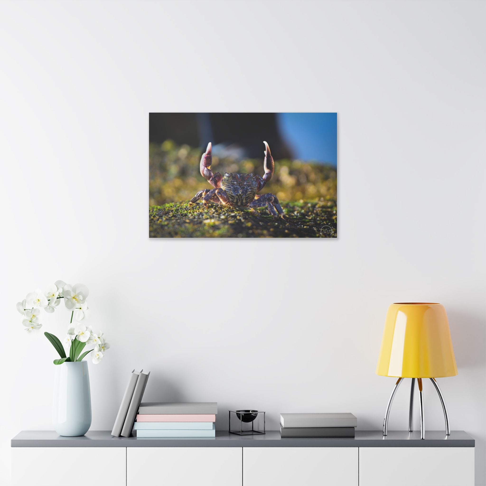 Crab on Moss Canvas Print — Coastal Nature Photography Wall Art