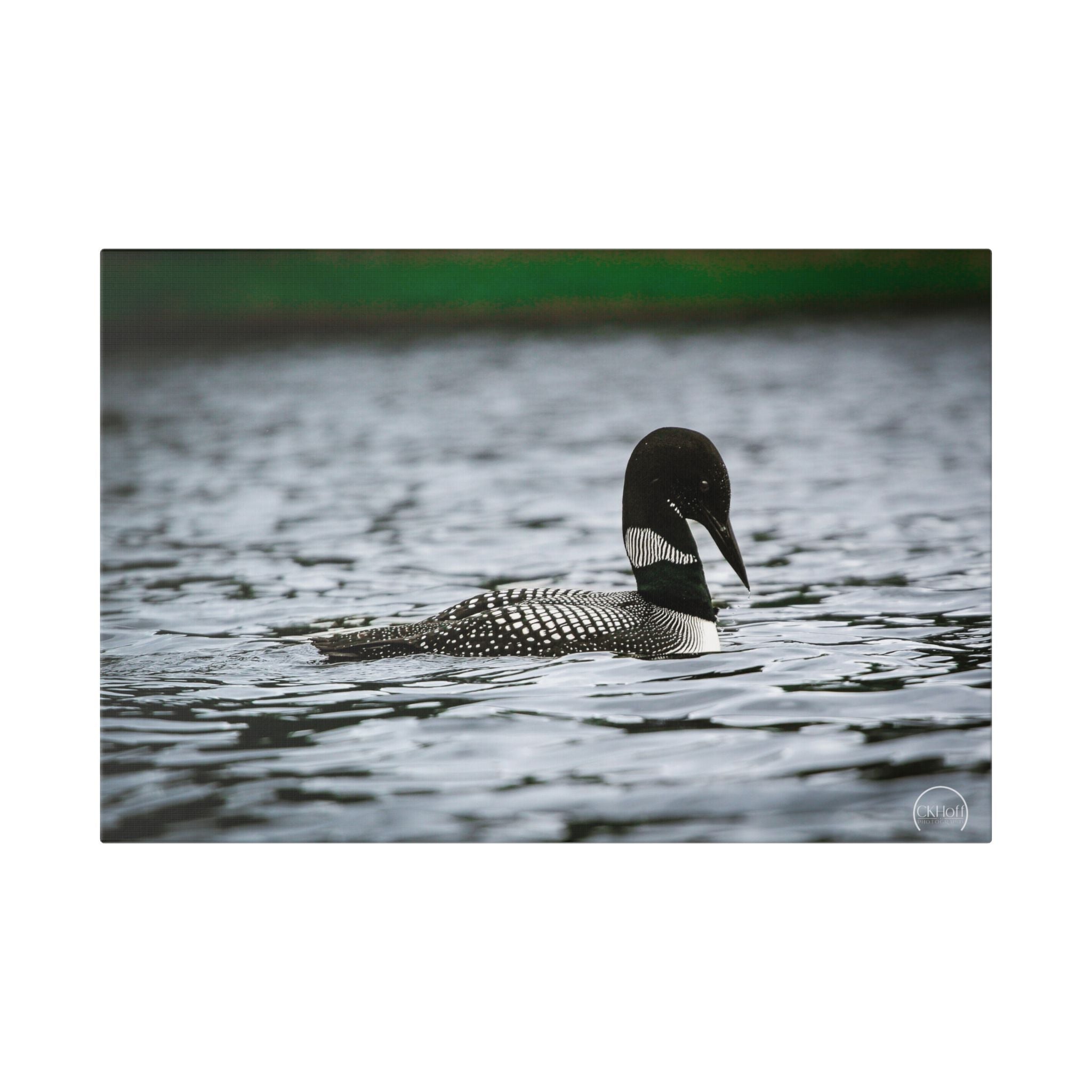 Loon on Lake — Classic Stretched Canvas Wall Art