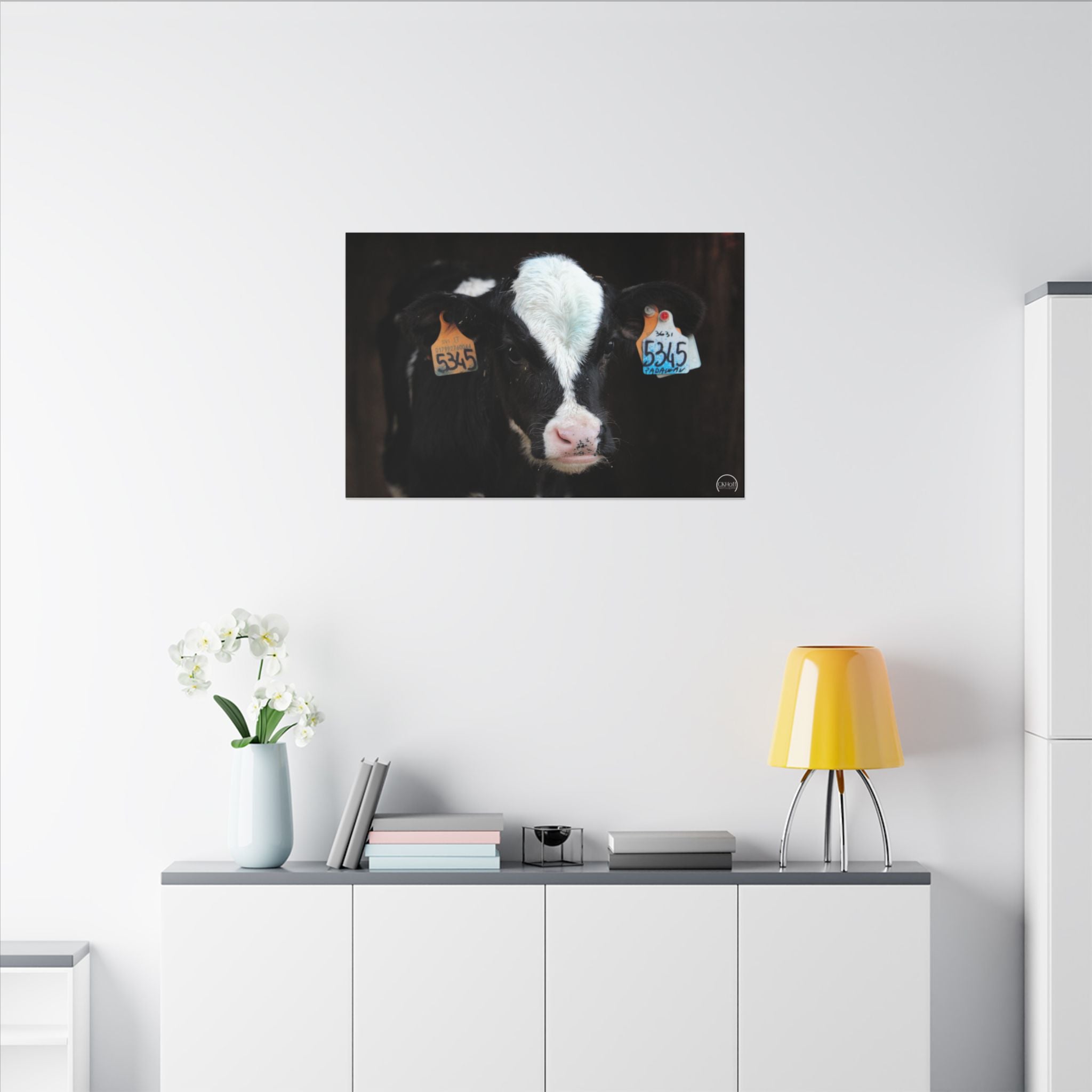 Calf Portrait Matte Canvas Wall Art — Black & White Cow Farm Photography