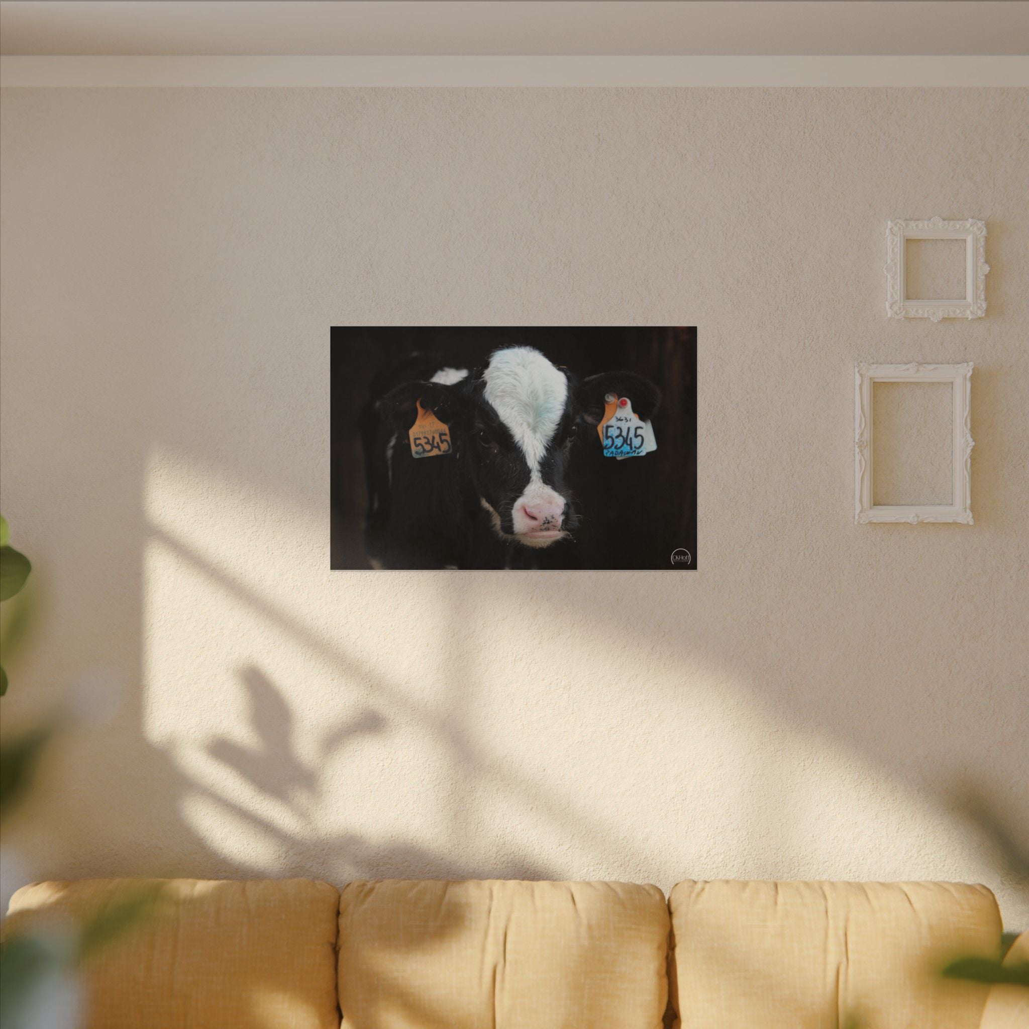 Calf Portrait Matte Canvas Wall Art — Black & White Cow Farm Photography
