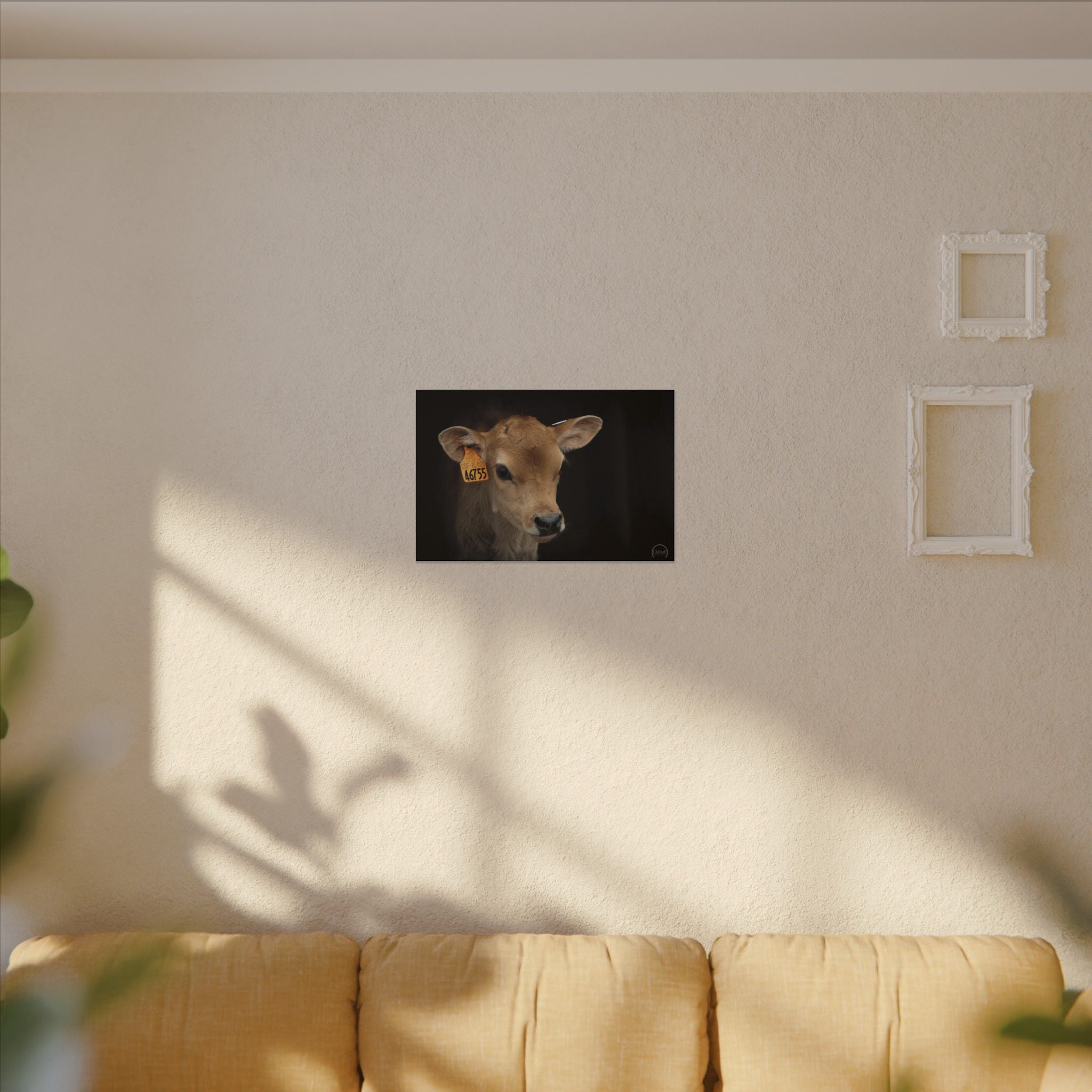 Jersey Calf Portrait Canvas Print — Rustic Farm Animal Wall Art
