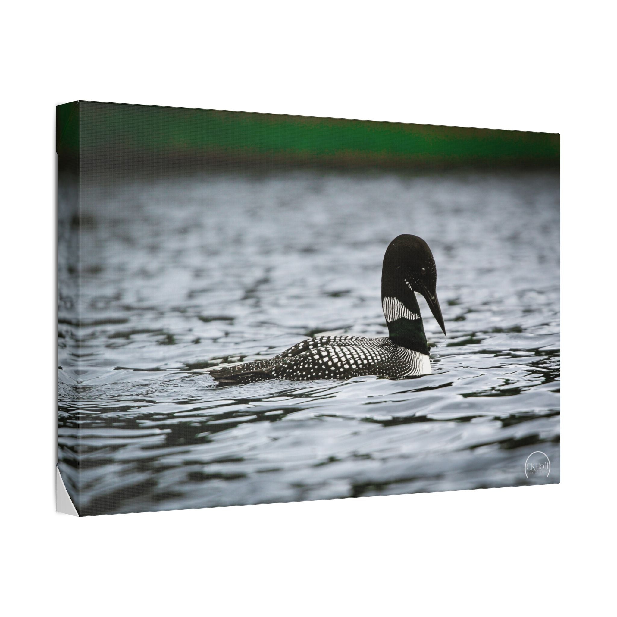 Loon on Lake — Classic Stretched Canvas Wall Art