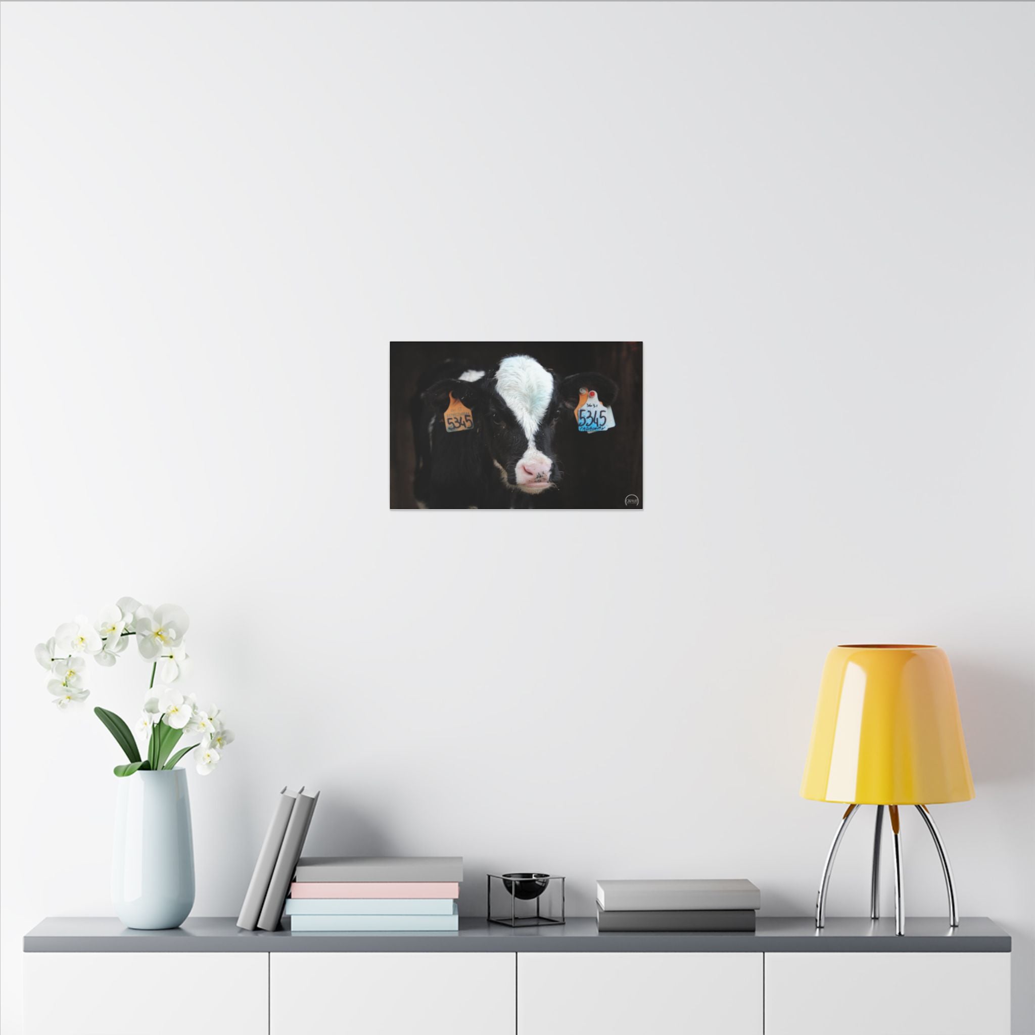 Calf Portrait Matte Canvas Wall Art — Black & White Cow Farm Photography