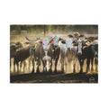 Herd of Bulls Matte Canvas Wall Art — Rustic Farmhouse Photography