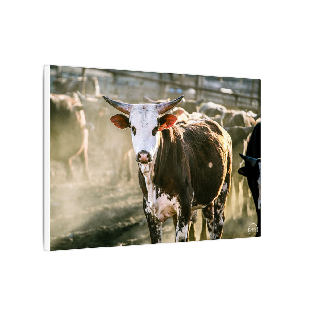 Bucking Bull Matte Canvas Print — Rustic Farmhouse Wall Art