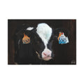 Calf Portrait Matte Canvas Wall Art — Black & White Cow Farm Photography