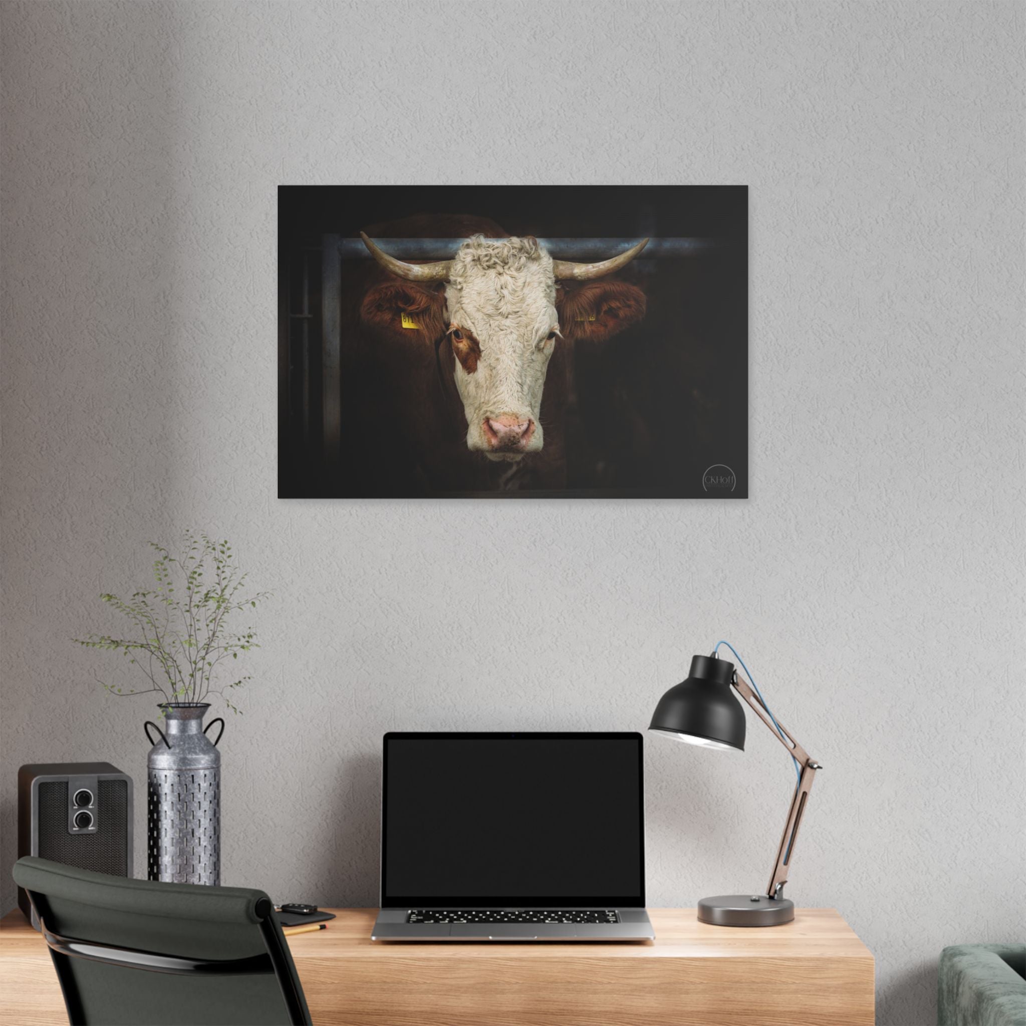 Horned Cow Portrait Canvas — Rustic Farmhouse Wall Art
