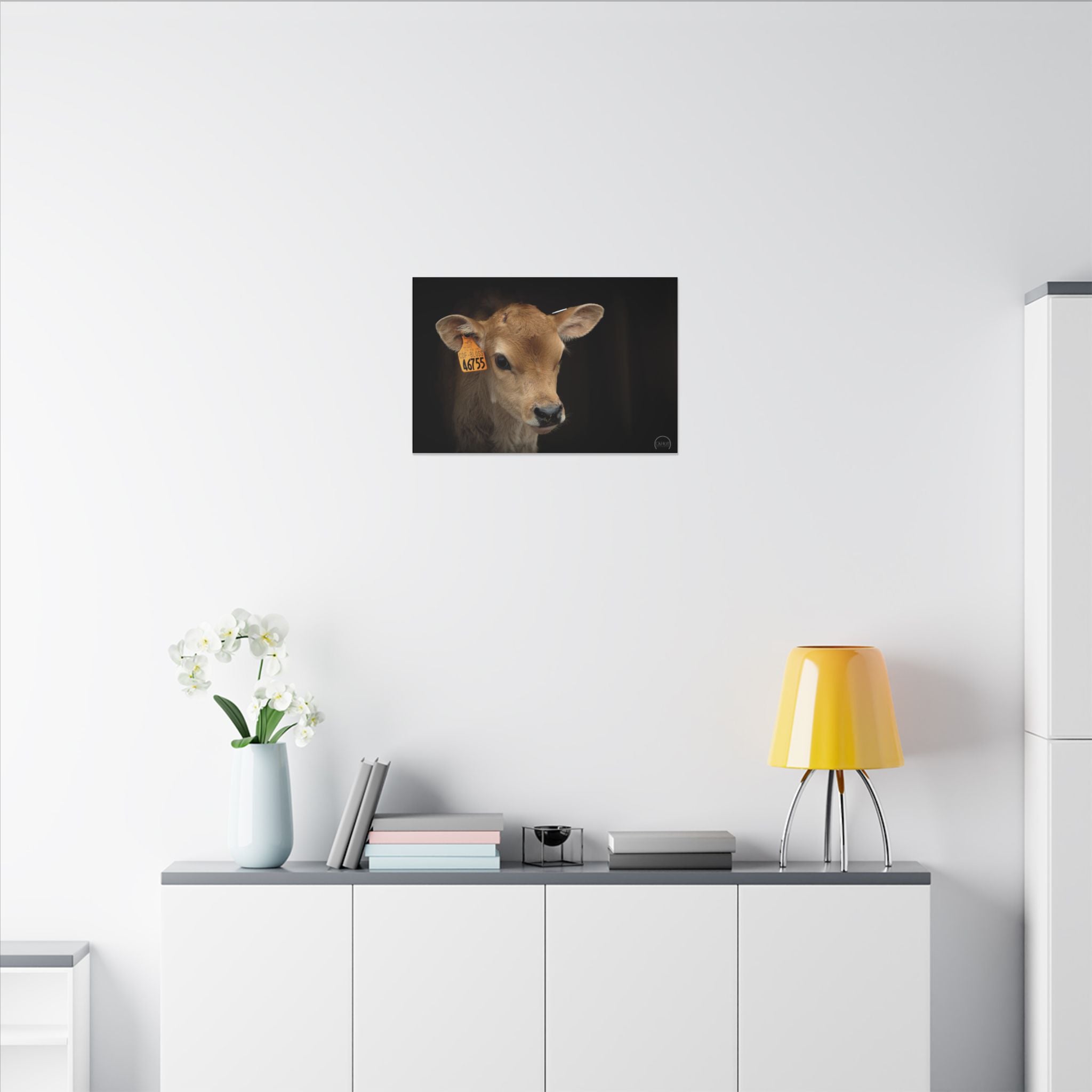 Jersey Calf Portrait Canvas Print — Rustic Farm Animal Wall Art